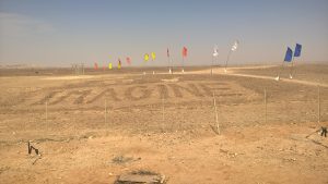 Steinwüste Negev - Israel