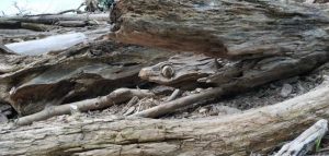 looking even more precise